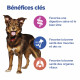 Vet Essentials Chien MultiBenefit Adult 1 Medium Agn.&Riz
