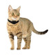 CLOTURE CANIFUGUE SMALL PA