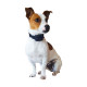 CLOTURE CANIFUGUE SMALL PA