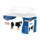 COUCHE CULOTTELXL 6080CMX12