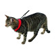 HARNAIS CHAT ACTIVE ROUGE