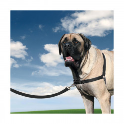 HARNAIS EASY WALK XL NOIR