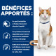 Chat OnCare Mijotés Poulet Boîte