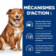 Chien Derm Complete Boîte