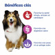 Vet Essentials Chien MultiBenefit Adult 1 Medium Non G. Th