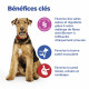 Vet Essentials Chien Multi-Benefit+Digestion Adult 1+ Medium Poulet