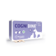 Cognidine