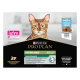 Cat Sterilised Cabillaud Mousse Sachet repas