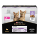 Cat Kitten Dinde Mousse Sachet repas