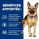 Chien Gastrointestinal Biome Poulet Boîte