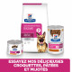 Chien Gastrointestinal Biome Poulet Boîte