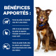 Chien Metabolic Mijotés Poulet & Légumes Boîte