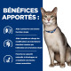 Chat kd Kidney Mijotés Poulet & Légumes Boîte
