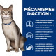 Chat kd Kidney Mijotés Poulet & Légumes Boîte