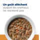Chat kd Kidney Mijotés Poulet & Légumes Boîte