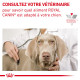 Dog Cardiac Boîte