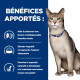 Chat kd Kidney Pack Mixte Sachet repas