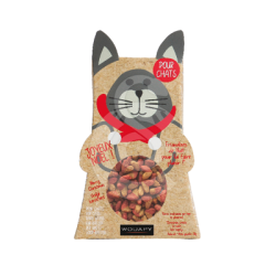 Accessoire Noël chat : Boîte Chat avec friandises