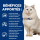 Prescription Diet c/d Urinary Stress Multicare Croquettes pour Chat au Poisson
