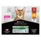 Cat Adult Sterilised Maintenance Bo.&Poul.Sauce M.Sachet rep