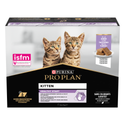 Cat Kitten Dinde Terrine Multipack Sachet repas