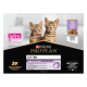 Cat Kitten Dinde Terrine Multipack Sachet repas