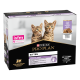 Cat Kitten Dinde Terrine Multipack Sachet repas