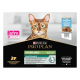 Cat Adult Sterilised Cabillaud Terrine Sachet repas