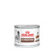 Veterinary Diet Dog Gastro Intestinal Boîte