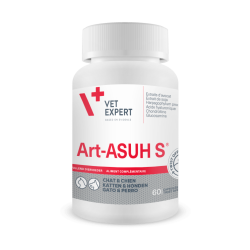 Art-Asu S