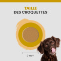 Specific CPD-M Puppy Medium Breed
