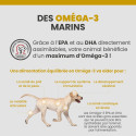 Specific CPD-M Puppy Medium Breed