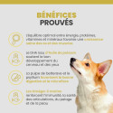 Specific CPD-S Puppy Small Breed