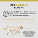 Specific CPD-S Puppy Small Breed
