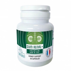 Sum Renal
