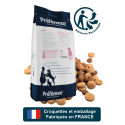 Préférence Chien Junior XL