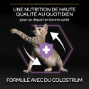 NESTLE PURINA Cat Junior Chicken