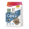 Care  Lapin Junior