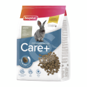 Care  Lapin Junior