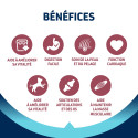 Advance Active Defense Chien Vitality 7 Senior Medium Poul.