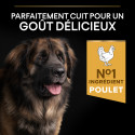 Pro Plan Dog Large Robust Adult Everyday Nutrition Poulet