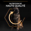Pro Plan Dog Large Robust Adult Everyday Nutrition Poulet