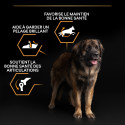 Pro Plan Dog Large Robust Adult Everyday Nutrition Poulet