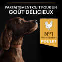 Pro Plan Dog Large Athletic Adult Everyday Nutrition Poulet