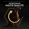 Pro Plan Dog Large Athletic Adult Everyday Nutrition Poulet
