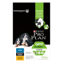Dog Large Mother&Puppies Starter Optistart Poulet