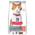 Chat Adult Sterilised Cat Saumon
