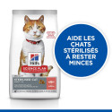 Chat Adult Sterilised Cat Saumon