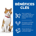 Chat Adult Sterilised Cat Saumon