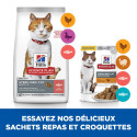 Chat Adult Sterilised Cat Saumon